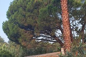 Casa mare natura
