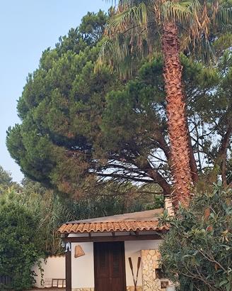 Casa mare natura