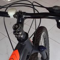 Mountain bike