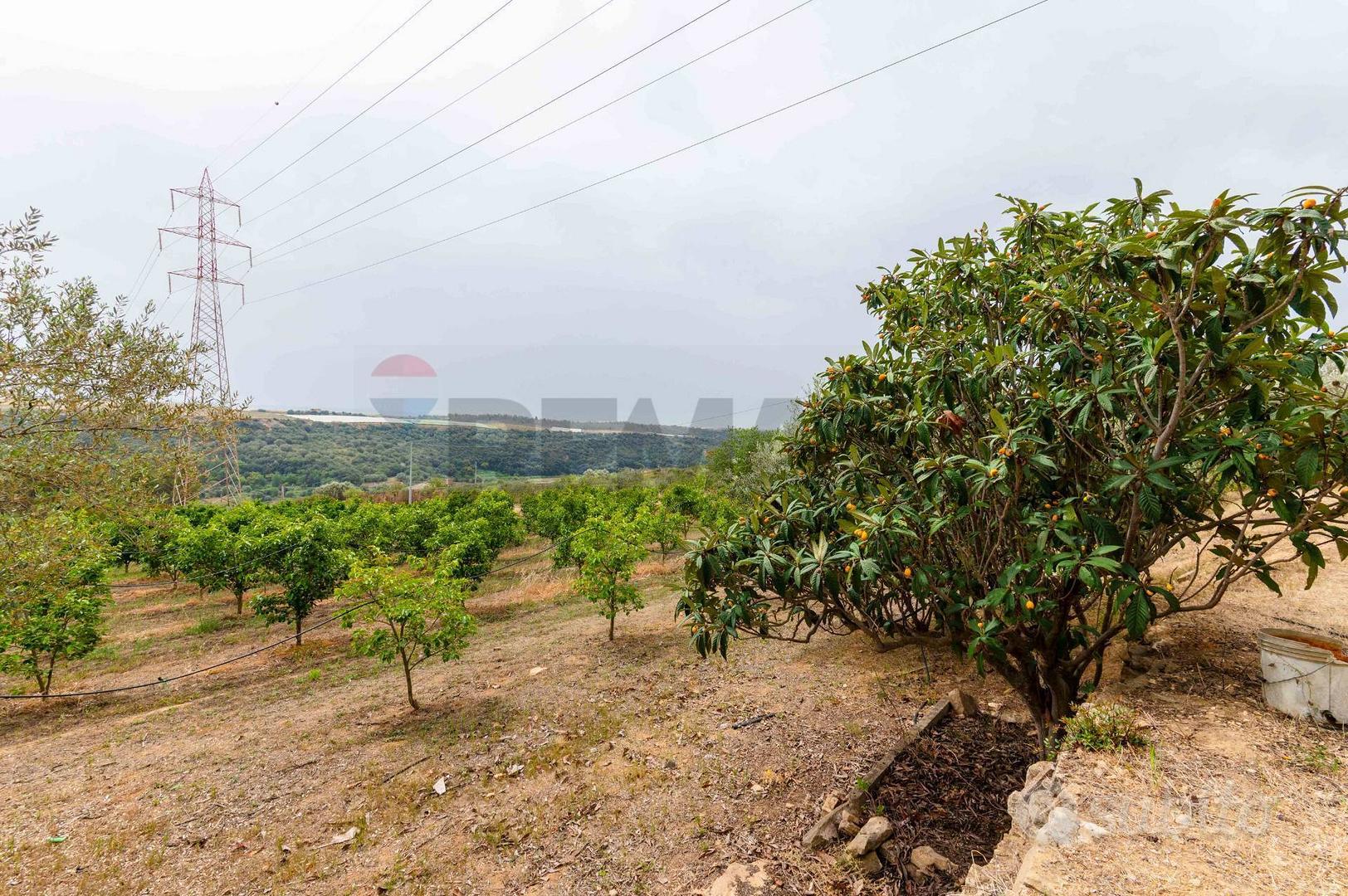 Terreno - Caltagirone - Altro