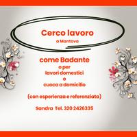 Badante