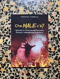 Libro Emanuele Fardella “Che male c’è?”