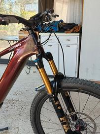 Specialized Turbo