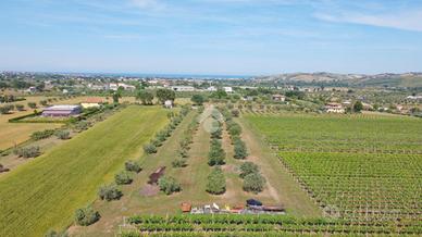 TERRENO A MOSCIANO SANT'ANGELO