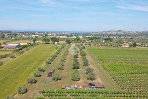 TERRENO A MOSCIANO SANT'ANGELO