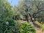Immagine 23