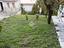 Immagine 26