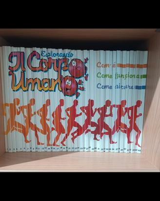 esplorando il corpo umano 