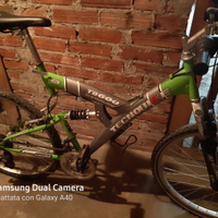 Bicicletta mountain bike