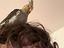 Immagine 2