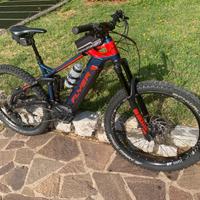 Ebike FLAYER con 2 batterie