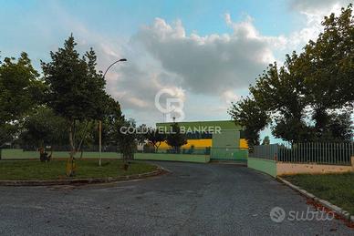 Magazzino - Genzano di Roma