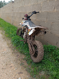 Pit bike usata