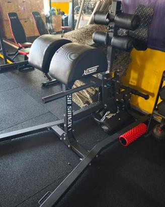ghd xenios