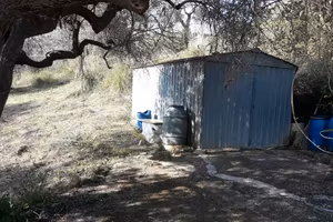 Terreno uliveto zona Fuondi Agropoli 