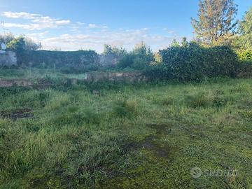 Terreno Edificabile