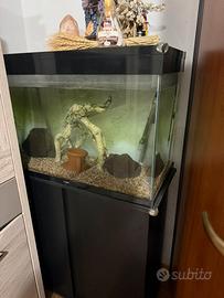 Aquario 100L