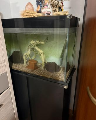Aquario 100L