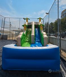 Gioco Gonfiabile mod. PALM SLIDE e  Short clown