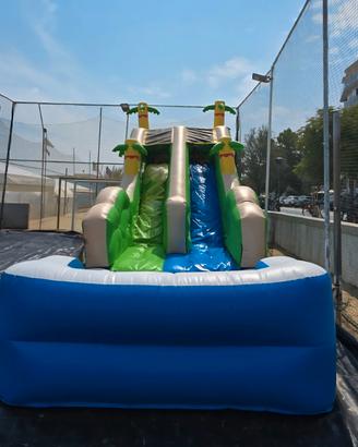 Gioco Gonfiabile mod. PALM SLIDE e  Short clown