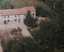 Vendiamo Casa con cortile e giardino esclusivo