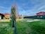 Immagine 29