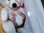 Immagine 1