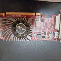 Scheda video pc Asus