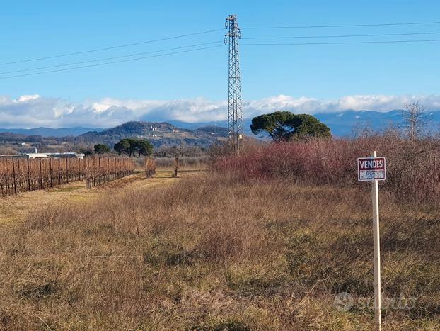 Terreni ottimi per vigneti San Giovanni Natisone