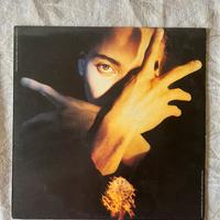 Terence Trent D’Arby - Neither fish nor flesh