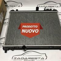 Radiatore Motore DR 0 Zero 1.0 Bz - GPL 51DR001