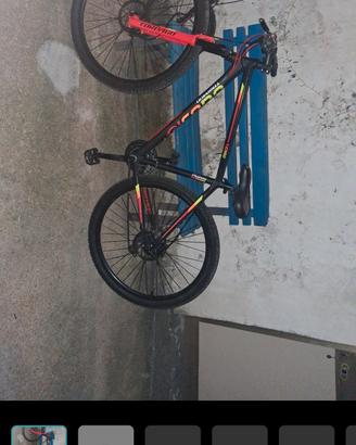 bici torpado