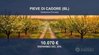 Immobile in asta di 24440 m² a Pieve di Cadore