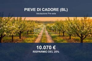 Immobile in asta di 24440 m² a Pieve di Cadore