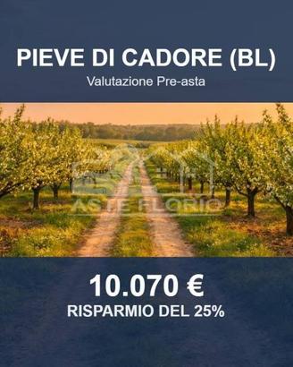 Immobile in asta di 24440 m² a Pieve di Cadore