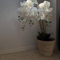 Pianta finta con vaso