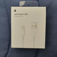 Cavo Usb Apple 2 mt