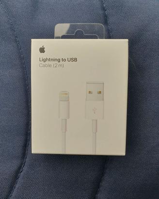 Cavo Usb Apple 2 mt