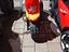 Immagine 1
