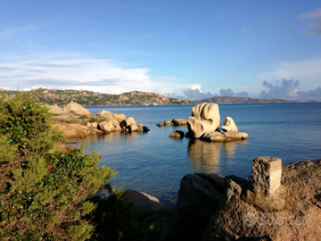 Palau casa vacanze il faraglione