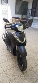 sh 300 sport