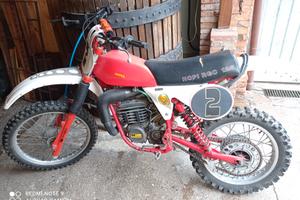  aspes  125 hopi