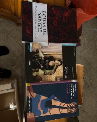 Lotto libri lingue liceo linguistico usati