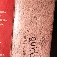 Guida al novecento - S. Guglielmino