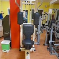 technogym rowing torso 