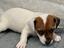 Immagine 1