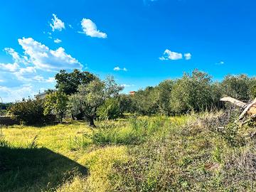 Poli: terreno pianeggiante adiacente centro