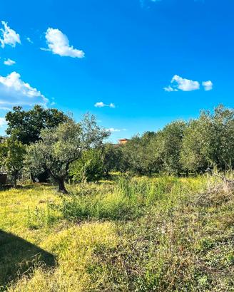 Poli: terreno pianeggiante adiacente centro