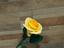 Immagine 4