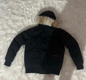 Canada goose